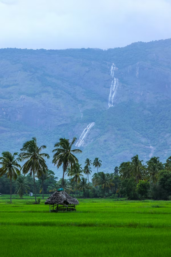 Waterfall & Rice Fields